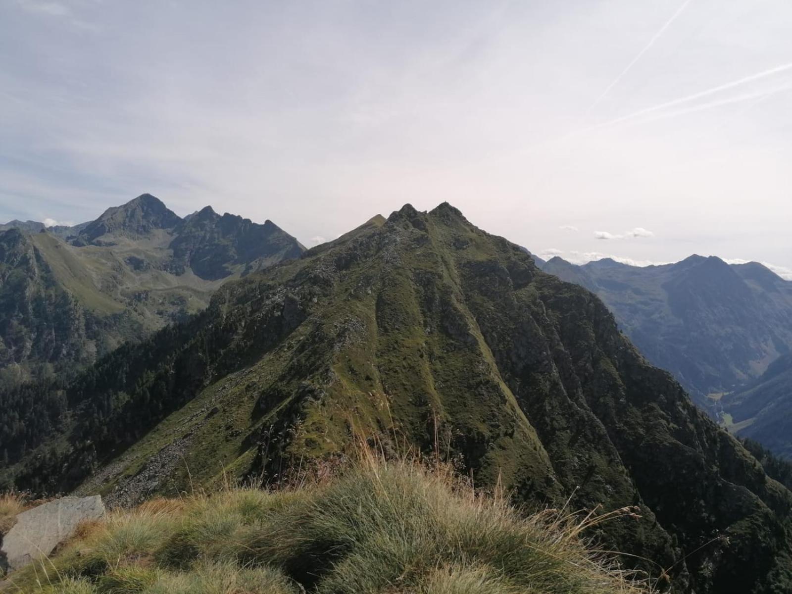 Appartementhaus Alma *